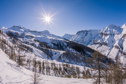 Auron