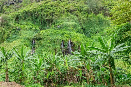 Ile de La Réunion