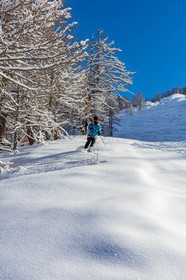 Auron