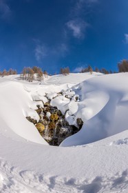 Isola 2000