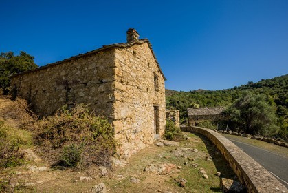 Morosaglia