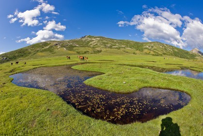 GR 20 Nord