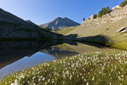 Lacs de l'Encombrette