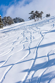 Traces dans la neige