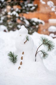 Bonhomme de neige