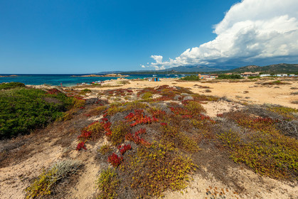 Tonnara