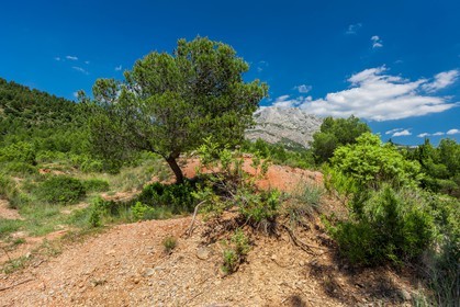 Sainte-Victoire