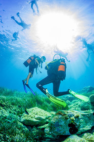 Plongée-sous-marine