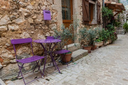 Fête des Violettes