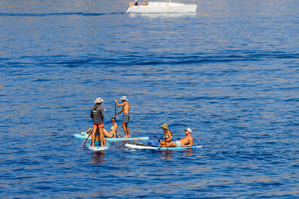 Paddle
