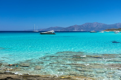 Saleccia