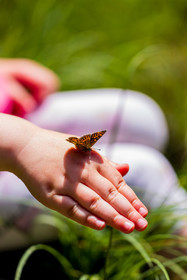 France, Alpes-de-Haute-Provence, Val d'Allos