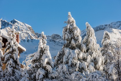Auron