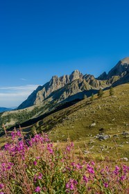 Col des Champs