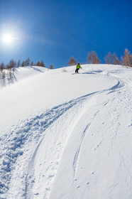 Freeride