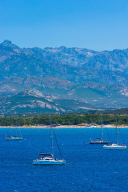 Calvi