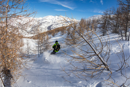 Freeride
