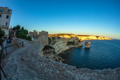 Bonifacio