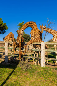 Parc animalier de la Barben