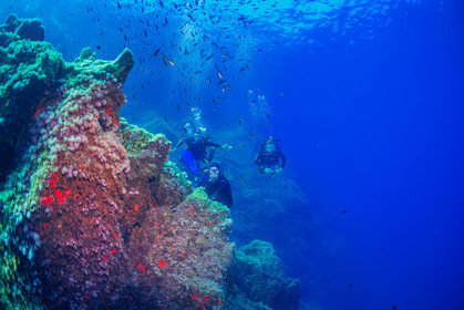 Plongée-sous-marine