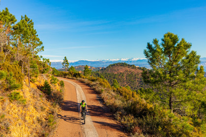 BikingMan
