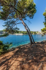 Saint-Jean-Cap-Ferrat
