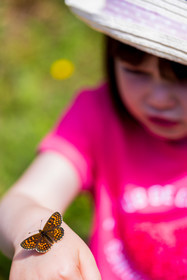 France, Alpes-de-Haute-Provence, Val d'Allos