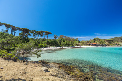Porquerolles
