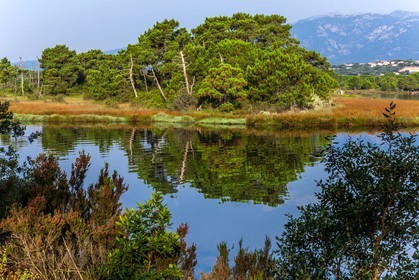 Porto-Vecchio