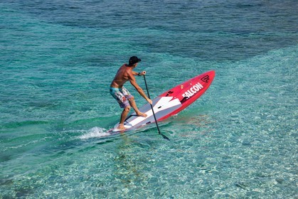 Paddle