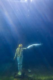 Seaquarium