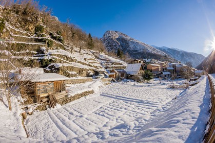 Isola