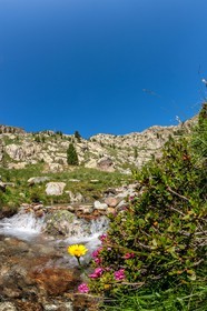 Isola 2000