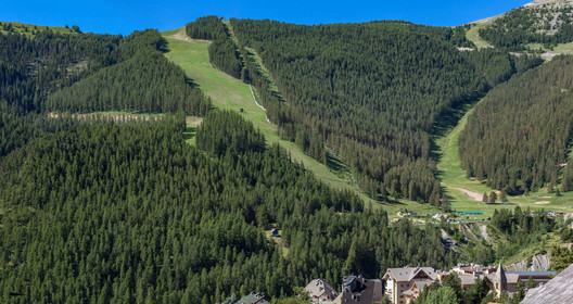 Auron