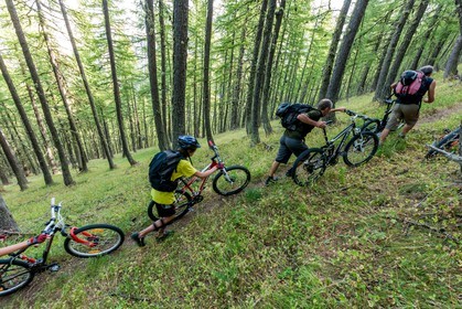 Rando Vtt Lacs de Lignin