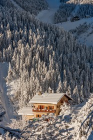 Auron