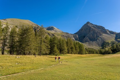 Col de la Petite Cayolle