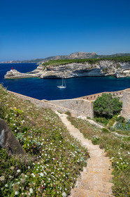 Bonifacio