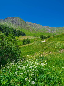 La Foux d'Allos