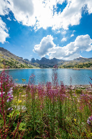 Lac d'Allos
