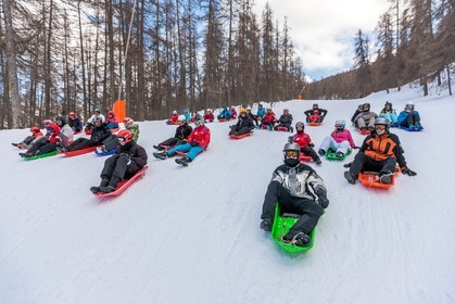Luge