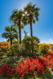 Grasse