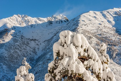 Auron