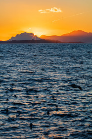 Cap d'Antibes