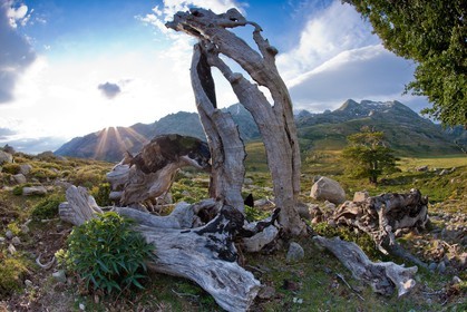 GR 20 Nord