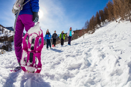 Raquettes à neige