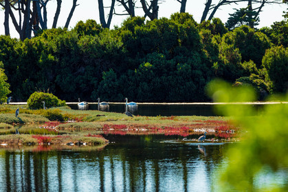 Lérins, Sainte-Marguerite