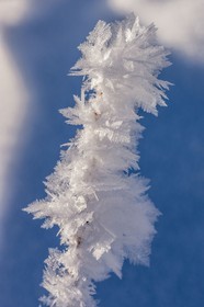 Cristaux de neige