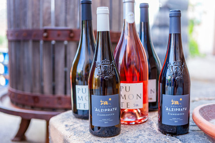 Domaine d'Alzipratu