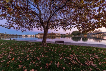 Avignon
